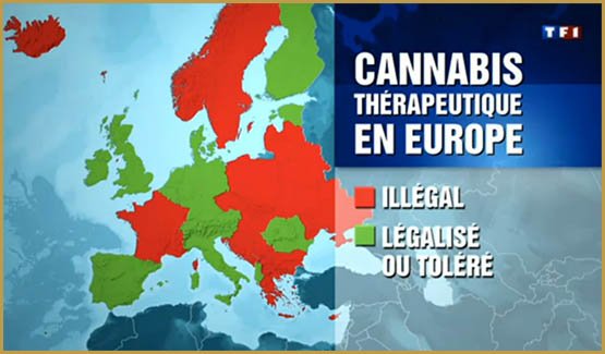 La légalisation en Europe : La France est-elle la prochaine ?