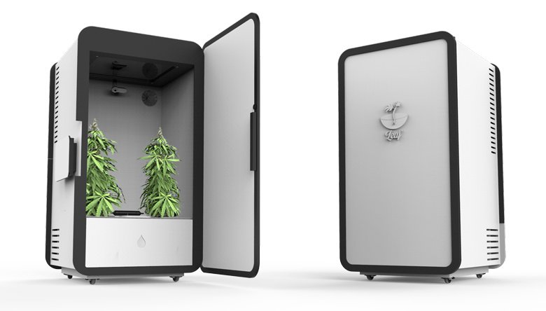 LEAF, LE PLACARD CONNECTÉ POUR FAIRE POUSSER DU CANNABIS