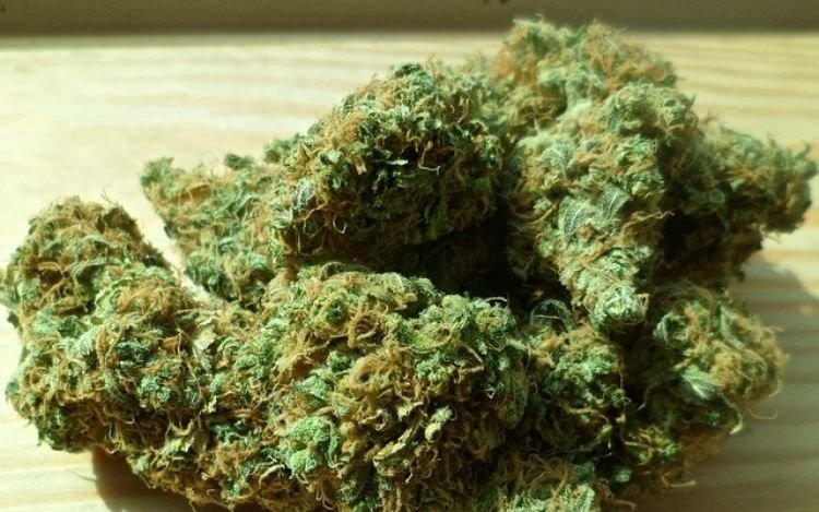 Marijuana : le Colorado ne sait plus quoi faire de son argent