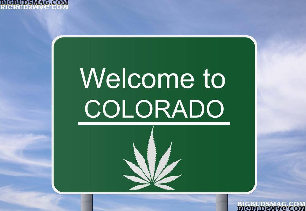Le cannabis sera bien légal dans les Etats du Colorado et Washington