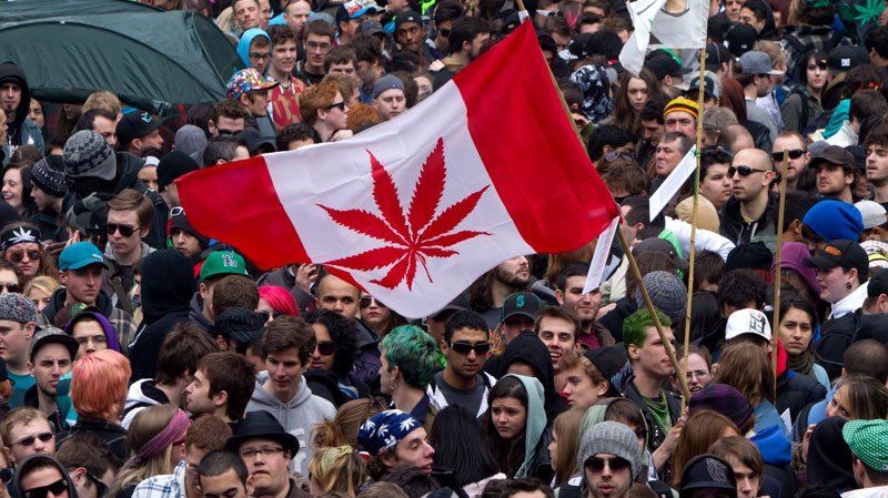 Canada : Une coalition de maires de C.-B. demande la décriminalisation de la marijuana
