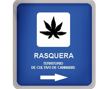 Cannabis  : Le gouvernement espagnol suspend un prêt à la ville qui veut planter de la weed