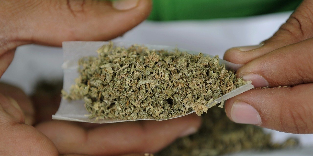 Canada : bientôt légalisé, le cannabis s'envole en Bourse