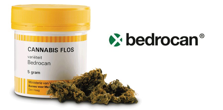 Bedrocan, l'usine qui produit du cannabis médical