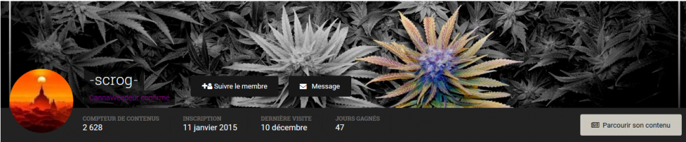 profil.png