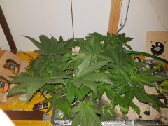20171103_054019-1920x1440.jpg