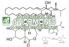 sources naturelles d'hormones végétales