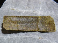 DSCF0011.JPG