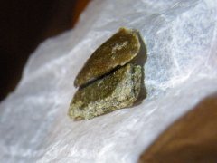DSCF1062.JPG