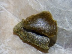 DSCF1063.JPG