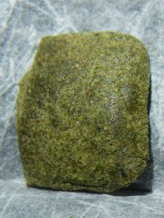 DSCF1079.JPG
