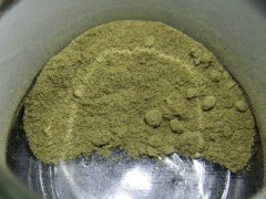 DSCF1127.JPG