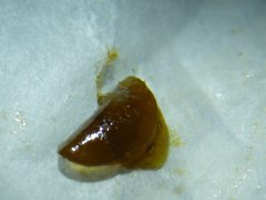 DSCF1366.JPG