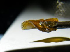 DSCF1413.JPG