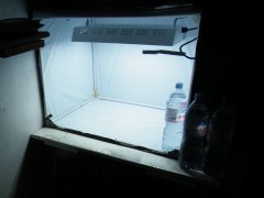 DSCF1414.JPG