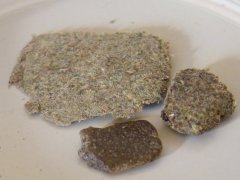 DSCF6496.JPG
