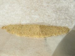 DSCF6505.JPG