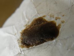DSCF6506.JPG