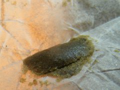DSCF6513.JPG