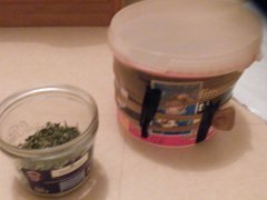 DSCF6520.JPG