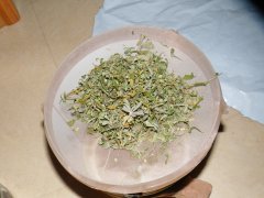 DSCF6524.JPG