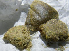 DSCF6554.JPG