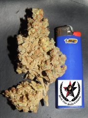 Tangies Cookies #1
