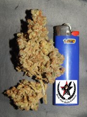 Tangies Cookies #1