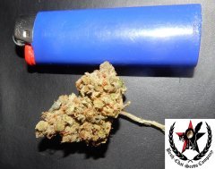 pheno A