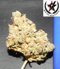pheno A
