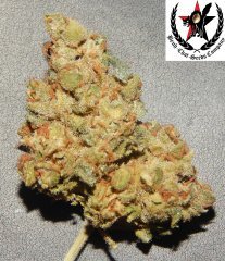 pheno A