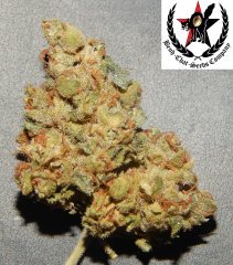 pheno A