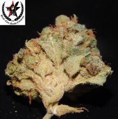 pheno A