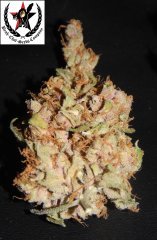 pheno C