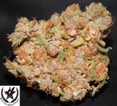 pheno C