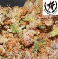 pheno C