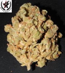 pheno B