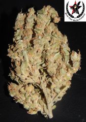 pheno A