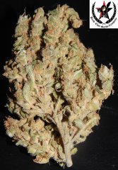 pheno A
