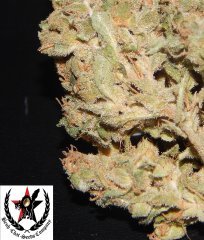 pheno A