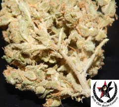 pheno A