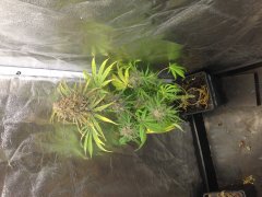IMG_0120.JPG