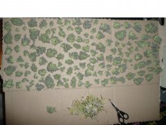 Diesel moonshine meme plante 2eme partie