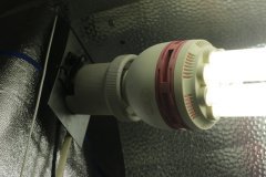 lampe cfl