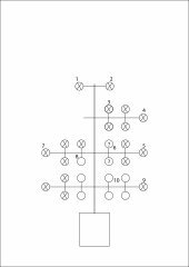 schema.jpg