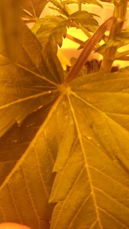 20180122_174603.jpg