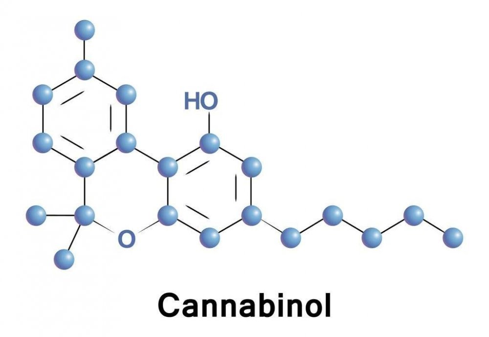 31b4d3477e_108599_cannabinol-cannabis-01.jpg