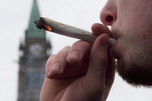 Canada - Marijuana: après la légalisation, l'amnistie générale pour les coupables de possession simple