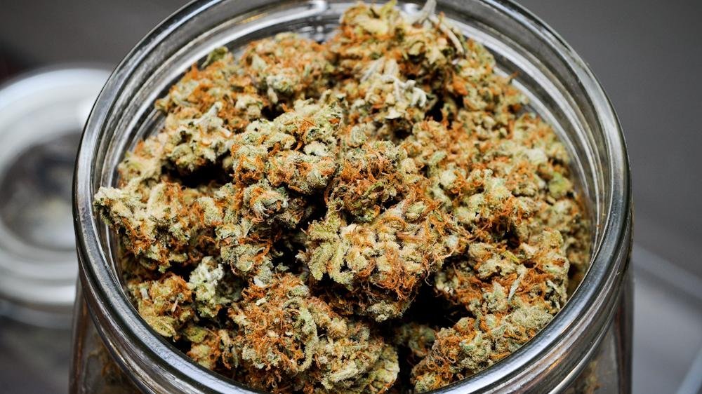 Canada - L’Ordre des pharmaciens veut empêcher les patients de faire pousser leur weed