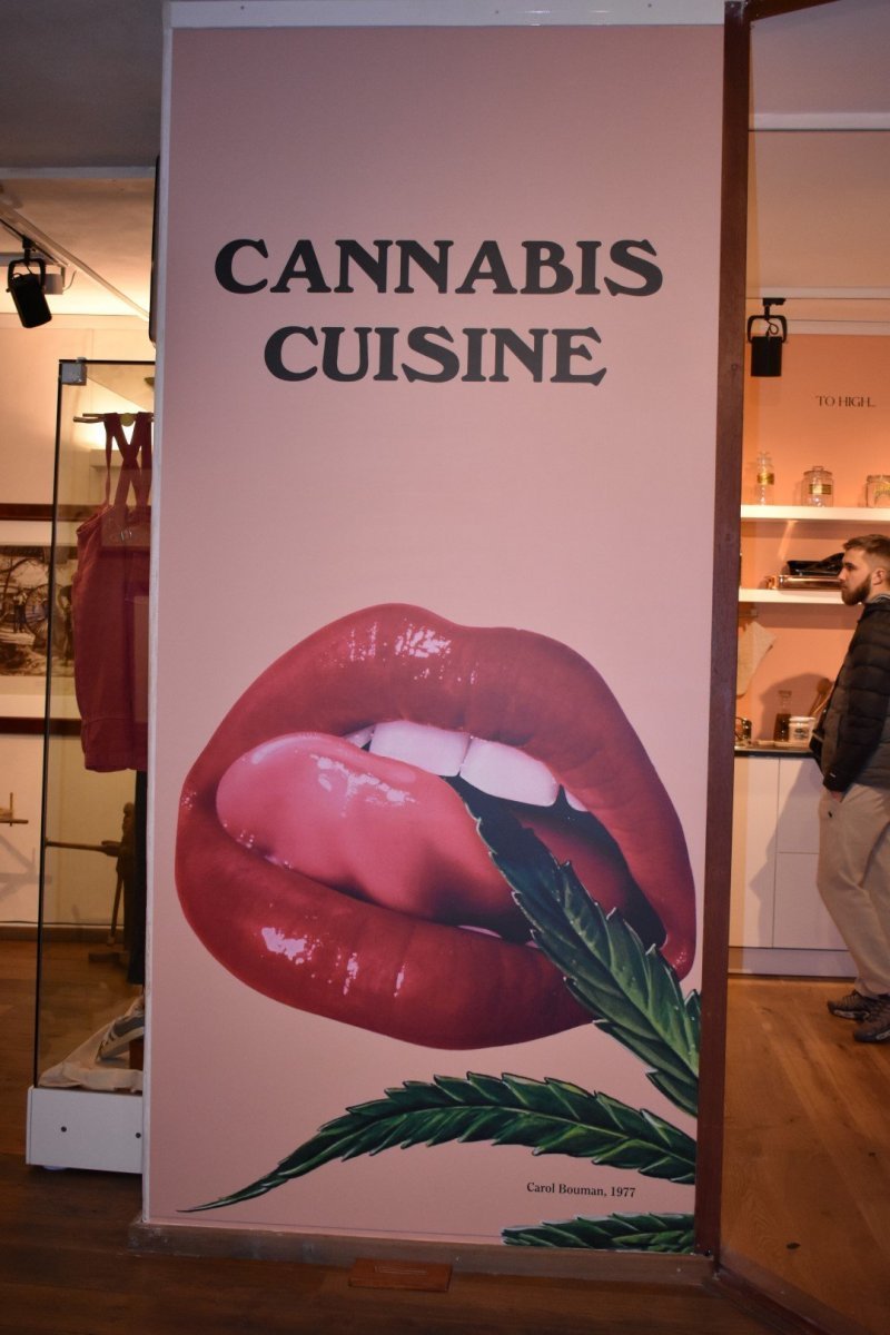large.5a4e7f198681d_FoodexpoSensiseeds(1).JPG